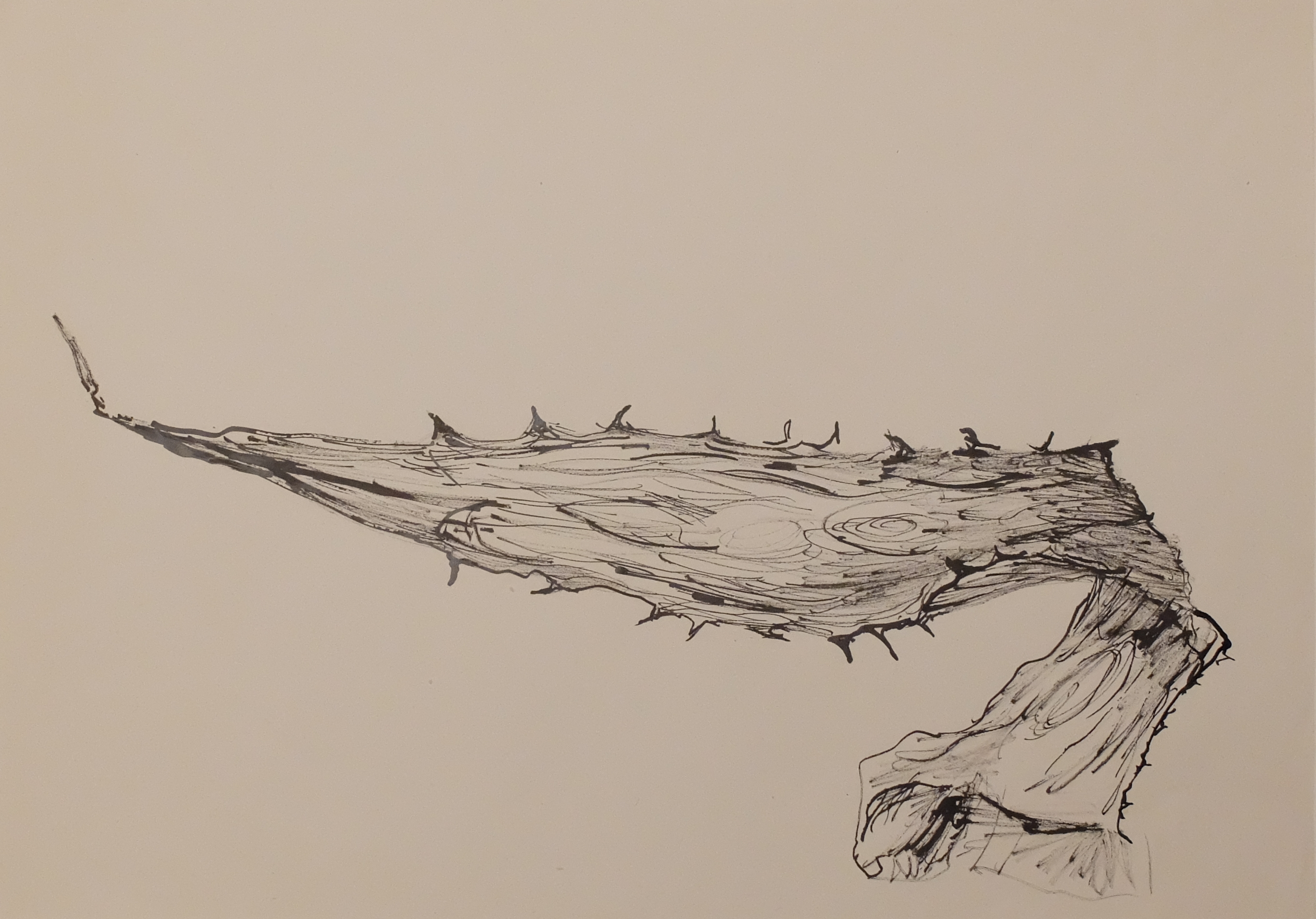 Encre de Chine et calame sur papier. 30 x 42 cm