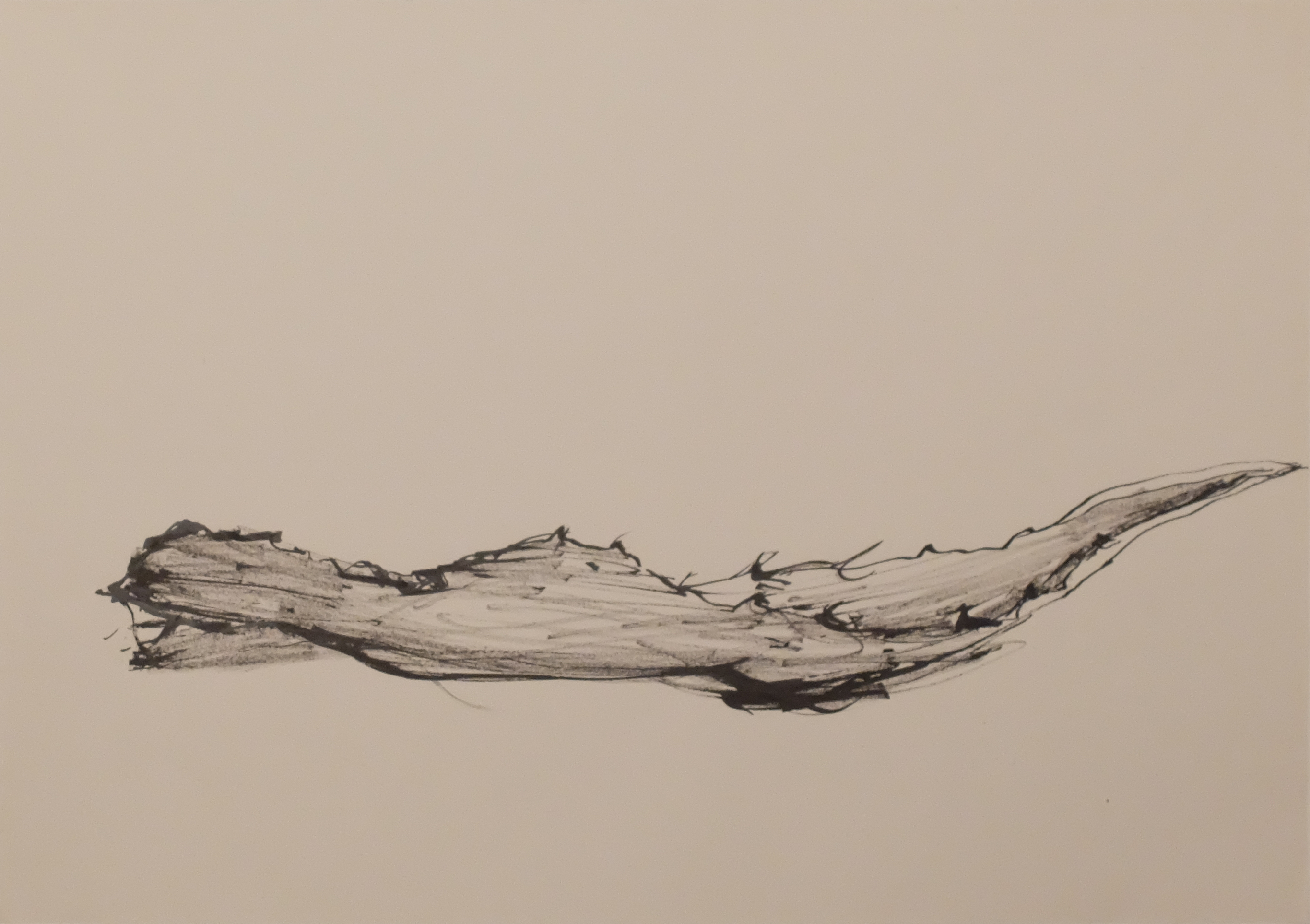 Encre et calame sur papier