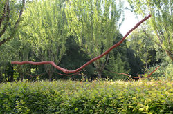 DSC_2160 copie