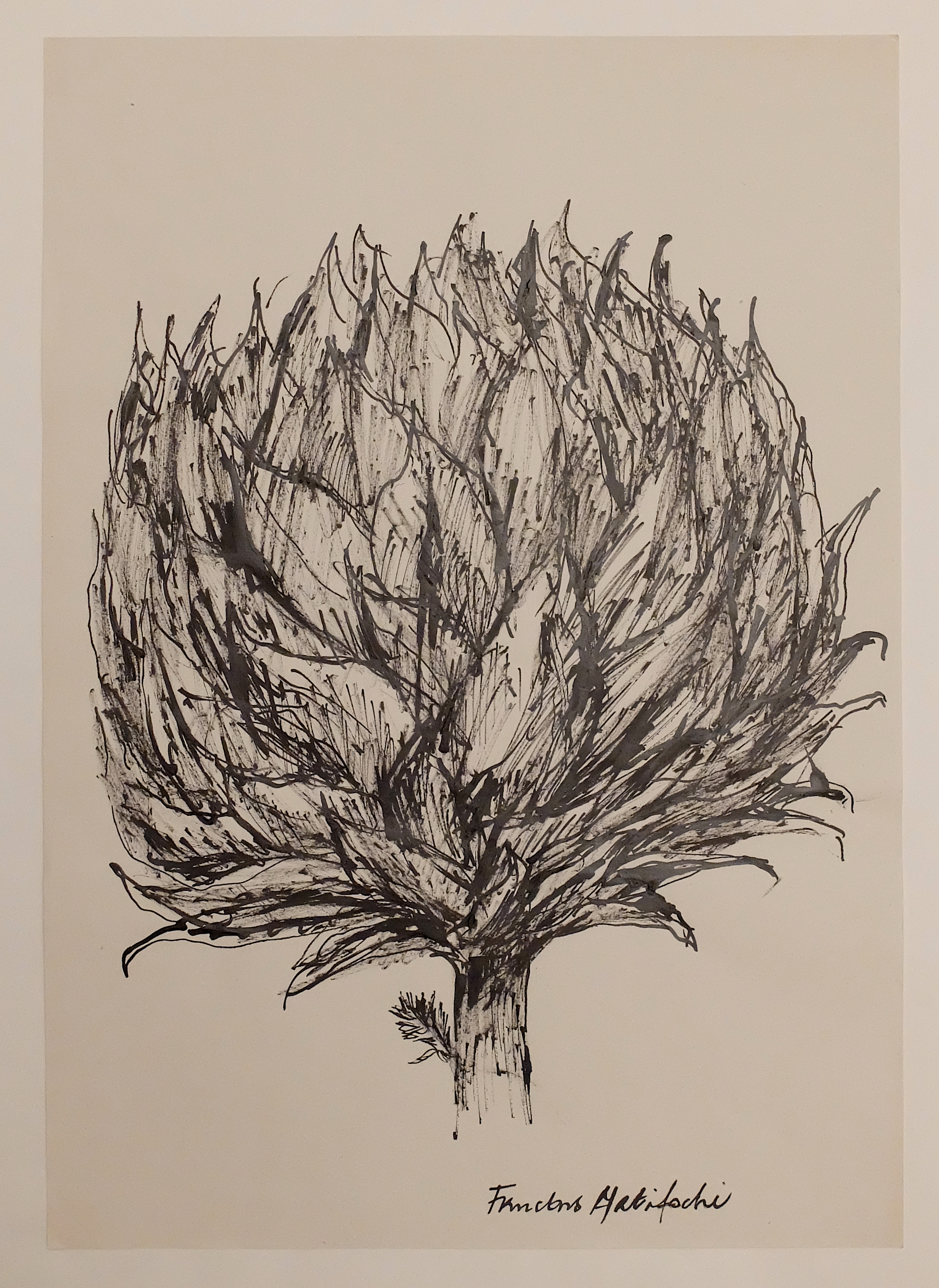 Encre au calame sur papier. 30 x 42 cm
