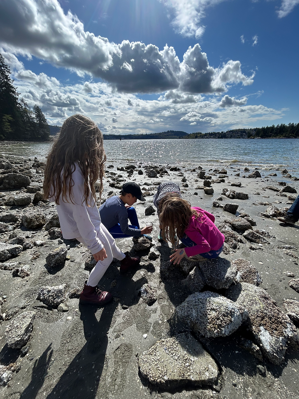 Lost in the magic of tiny creatures along the Belcarra shoreline.