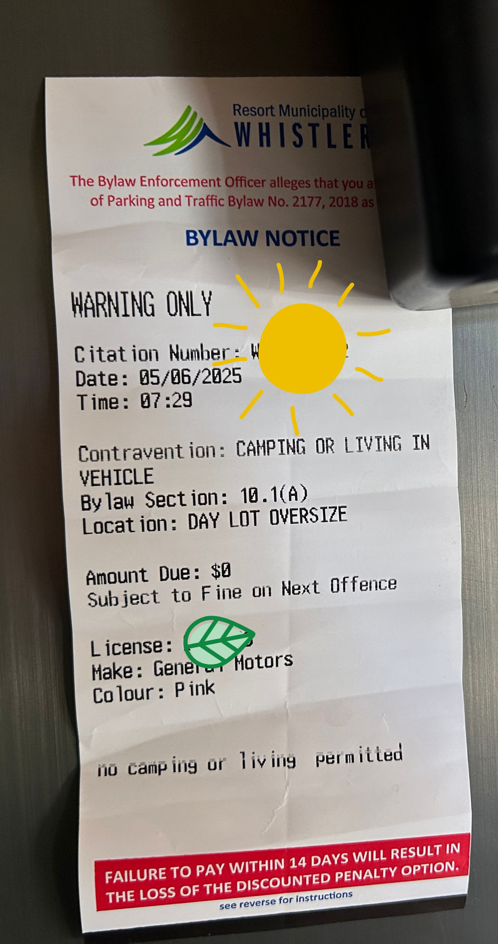 Turns out, even bright pink buses can’t hide from Whistler’s bylaw patrol. We got off with a warning — and a story to tell.