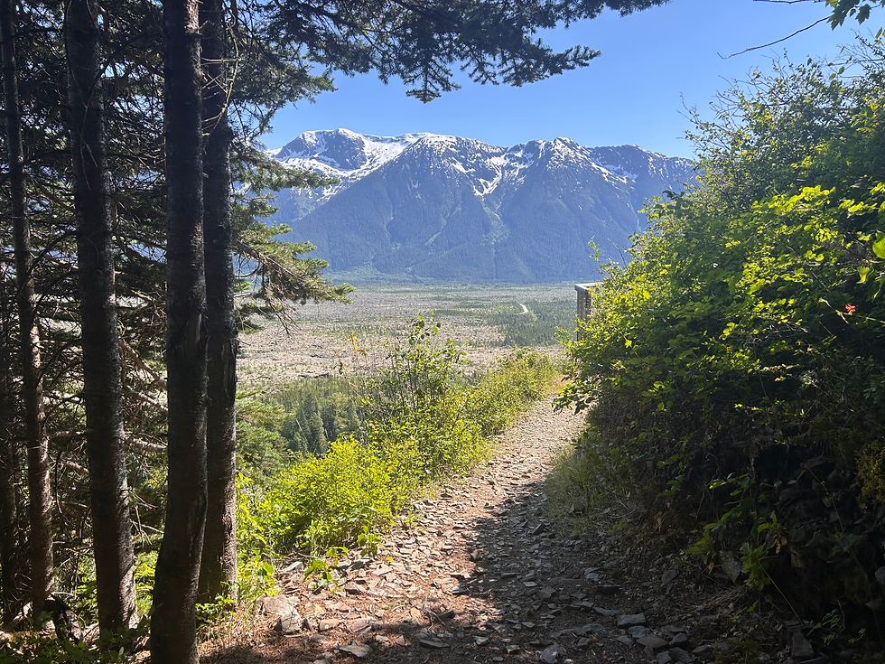 Step by step, the trail opened up to reveal the vast sweep of the lava fields — a landscape shaped by fire and time.