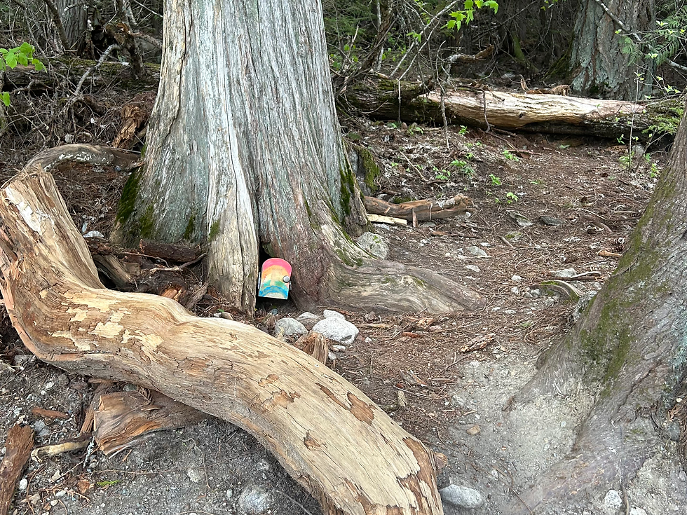 Tiny doors hidden in tree trunks—Pemberton’s forest knows how to keep little legs walking and imaginations running. 🚪🌲✨