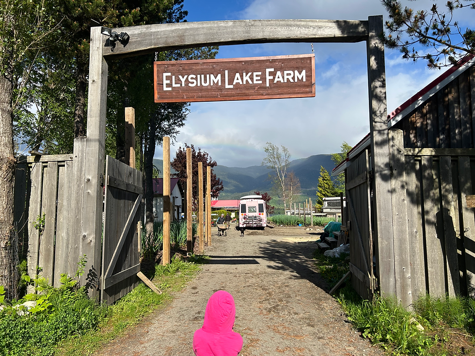 Part 4: What Elysium Gave Us