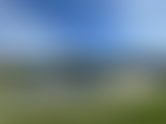 A Timely Pause in Salmon Arm