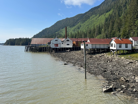 Part 3: Adventures Beyond the Farm