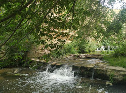 Immagine 2025-09-24 110437