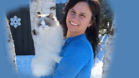  How to Find a Trustworthy Ragdoll Cat Breeder