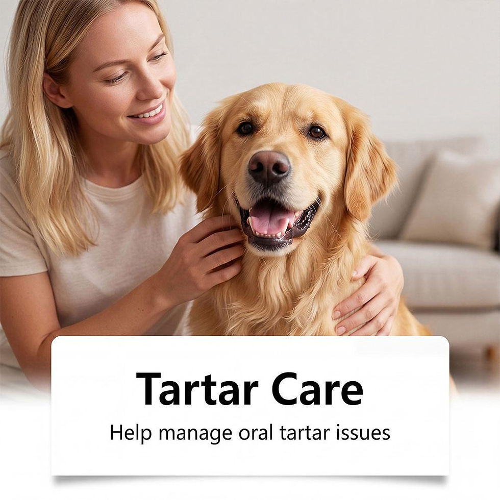 Thumbnail: Pet Oral Care Spray for Cats & Dogs