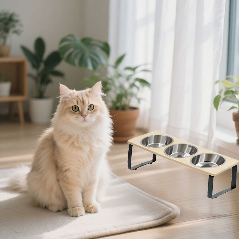 Thumbnail: Elevated Triple Cat Feeding Station