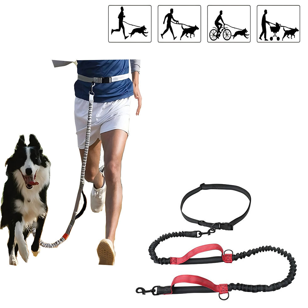 Thumbnail: Rechargeable Pet Nail Grinder for Cats & Dogs