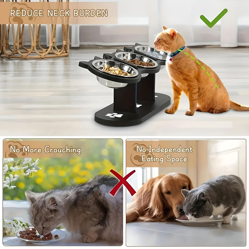 Thumbnail: PawDining™ Elevated Pet Bowls