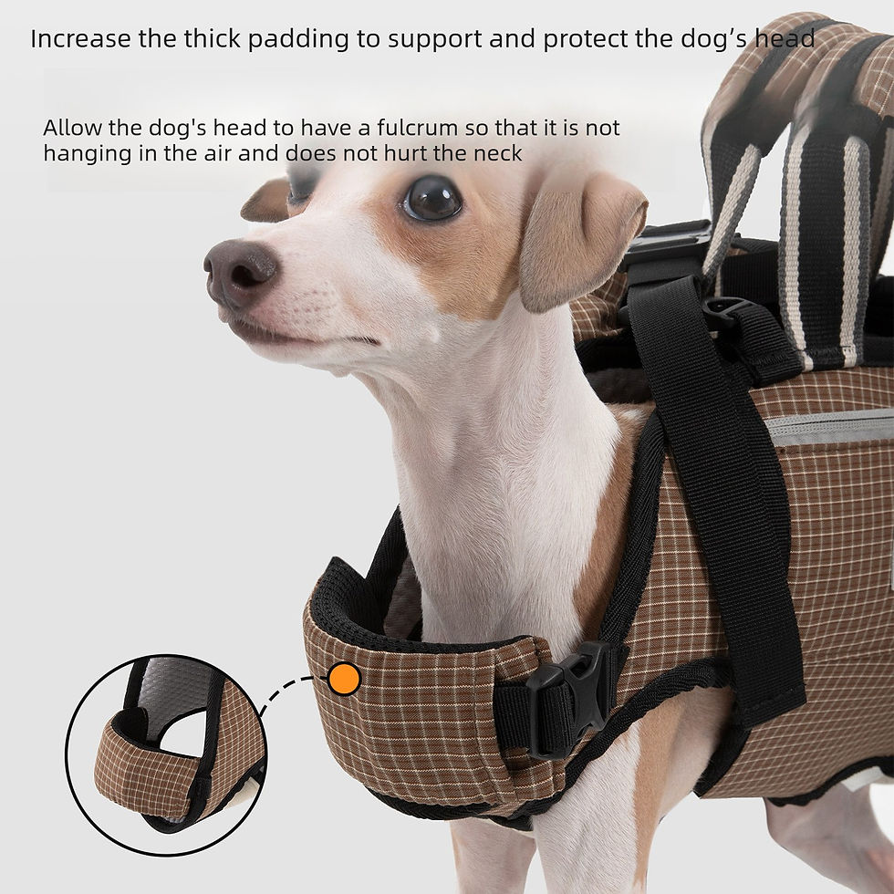 Thumbnail: Ergonomic Pet Carrier Backpack for Cats & Dogs