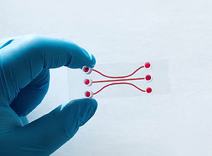 Microfluidic chip
