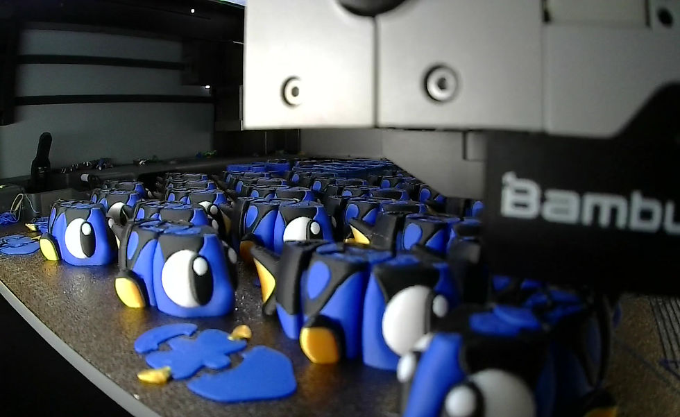 Thumbnail: Surgeon Fish (Nemo)