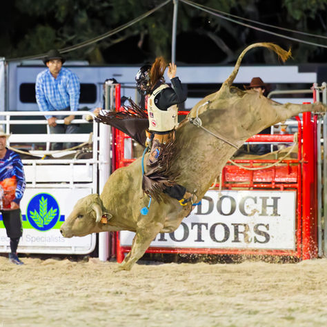 recent rodeo images 