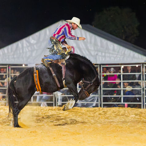 Rodeo images