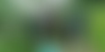 実践研究推進セミナーを兼ね