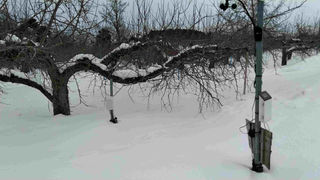 豪雪の中での雪掻き