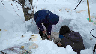 大雪の中での採水