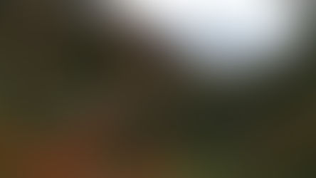 採水管の埋め直しと電池交換