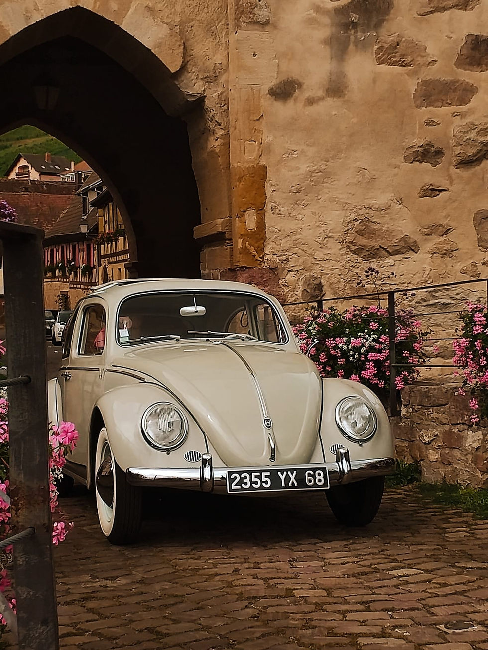 Location de Coccinelle vintage 1958 pour mariages baptêmes et évènements en Alsace et envi