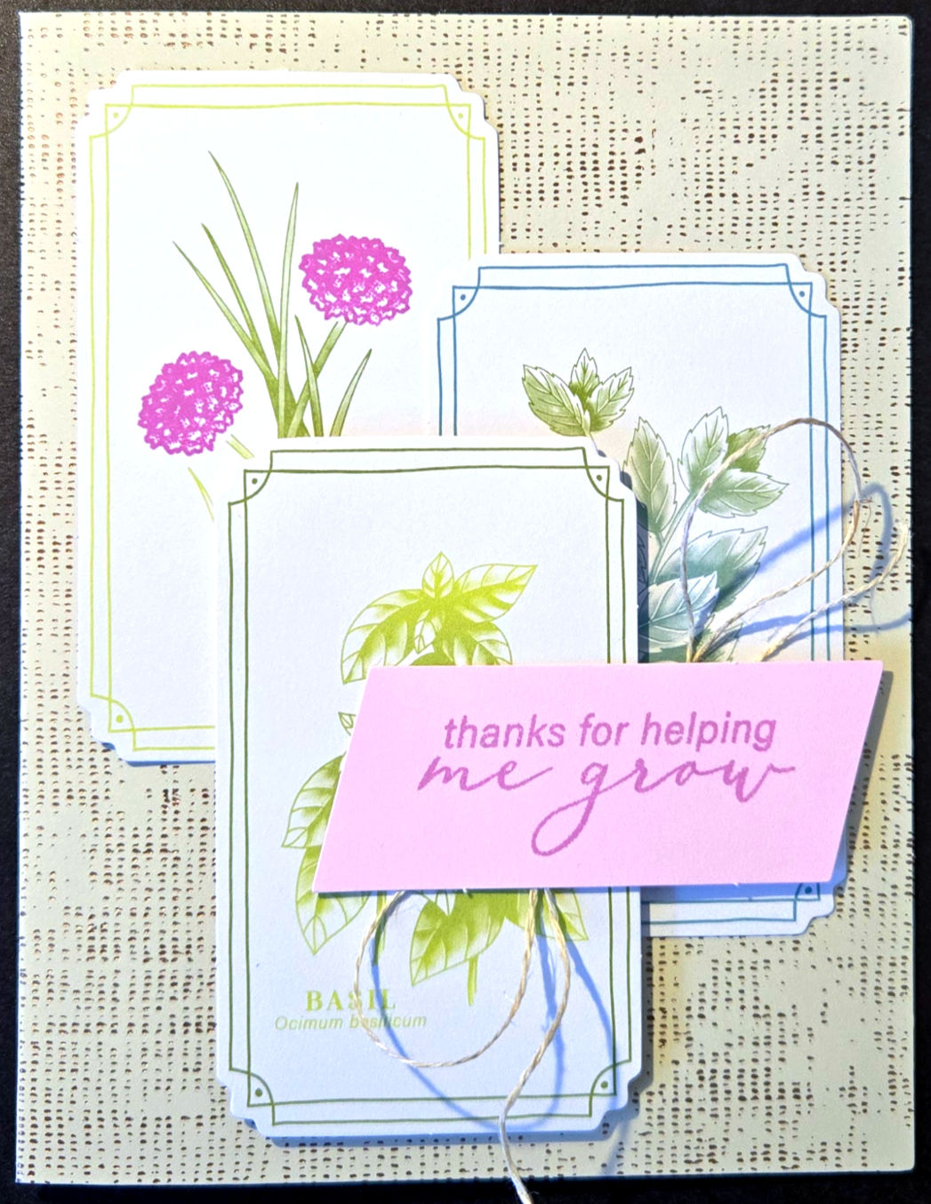 Beige rectangular card with 3 inked herb plants, message, 'Thanks for helping me grow'