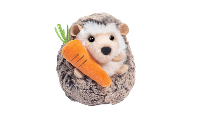 Spunky Hedgehog with Carrot