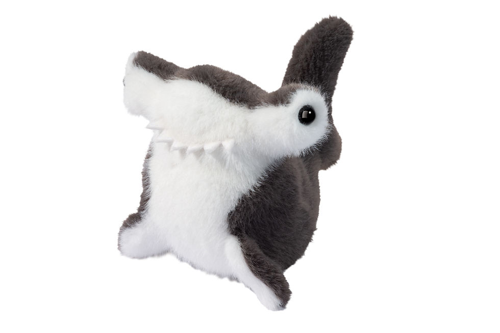 Small black & white stuffed toy hammerhead shark