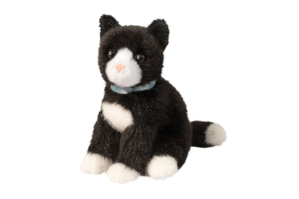 Front view of small stuffed toy black & white cat in seated position