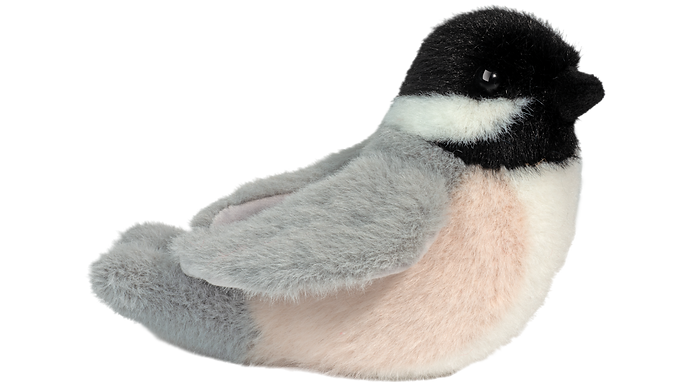 Chipper Chickadee