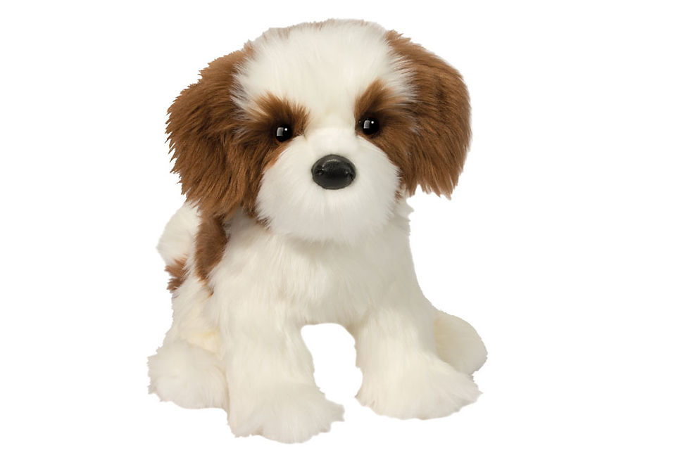 Front view of brown & white stuffed toy shih tzu, standing