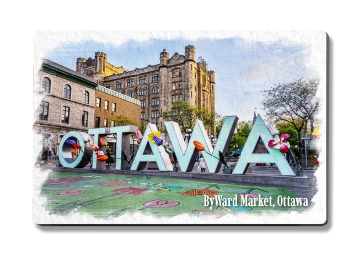 Front view of the Ottawa Letters and tulips flat edge magnet at Tickled Pink Ottawa.