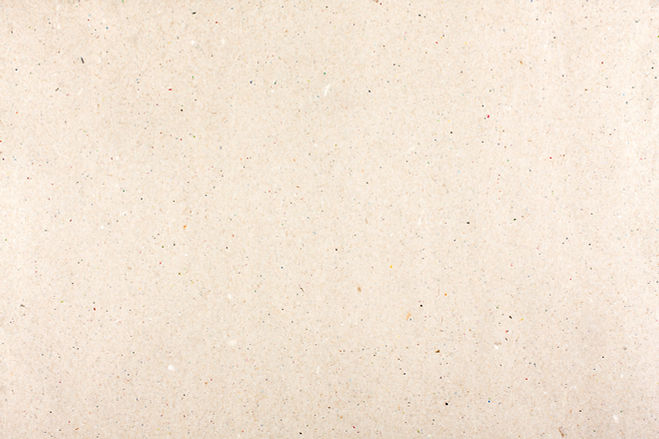 Plain Beige Paper_edited.jpg