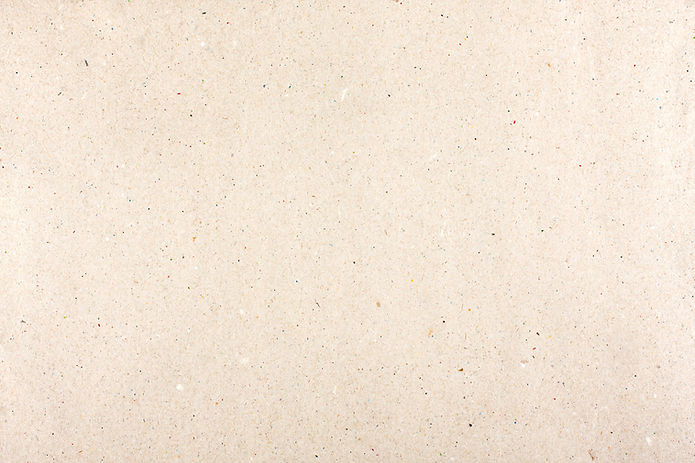 Plain Beige Paper_edited.jpg