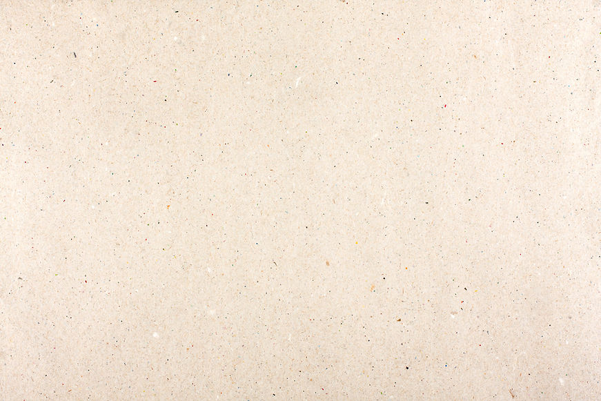 Plain Beige Paper_edited.jpg
