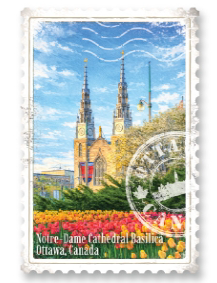 Front view of the Notre Dame Cathedral and tulips stamp magnet at Tickled Pink Ottawa.