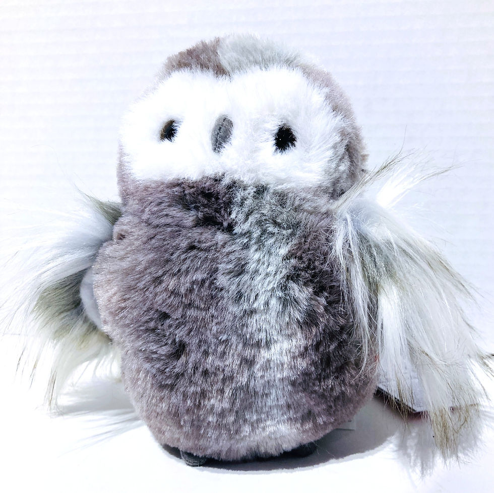Thumbnail: Front view of little gray plush owl