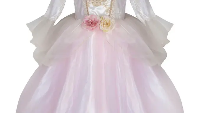 Golden Rose Princess Dress