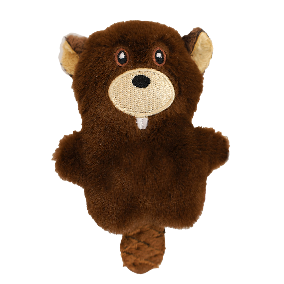 Small plush beaver magnet with flat tail at Tickled Pink Ottawa