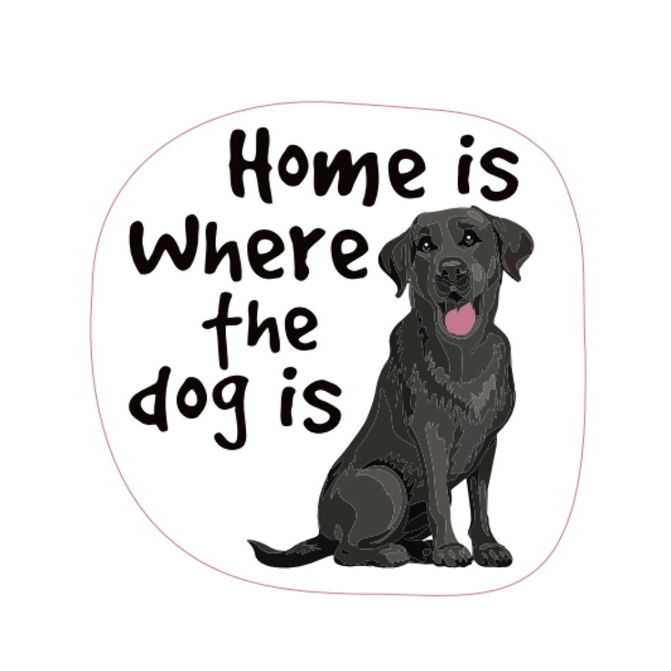 Home is Where the Dog is vinyl sticker with a sitting black lab and sweet quote at Quichua World Market in downtown Ottawa.