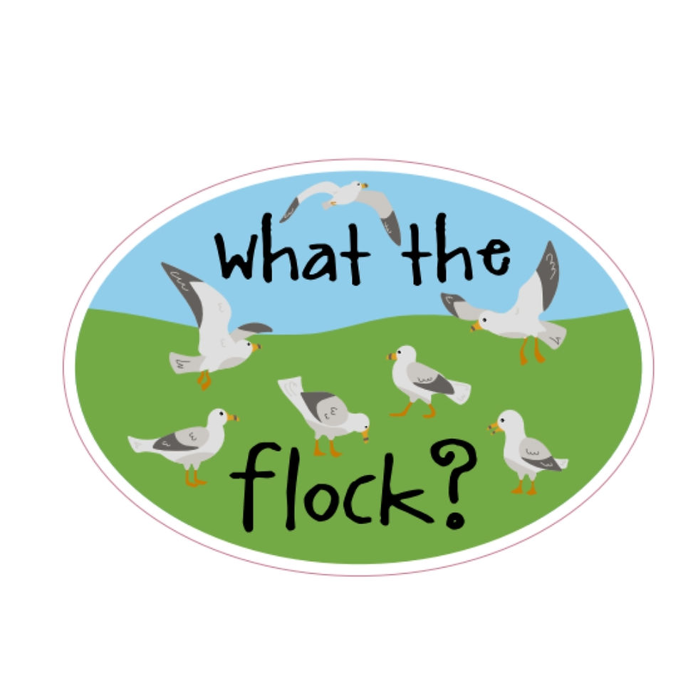What the Flock vinyl sticker featuring a flock of seagulls and playful pun text at Quichua World Market in downtown Ottawa.