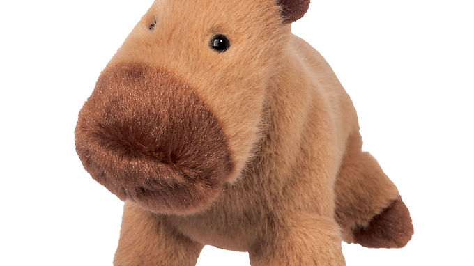 Craig Capybara Muzzle
