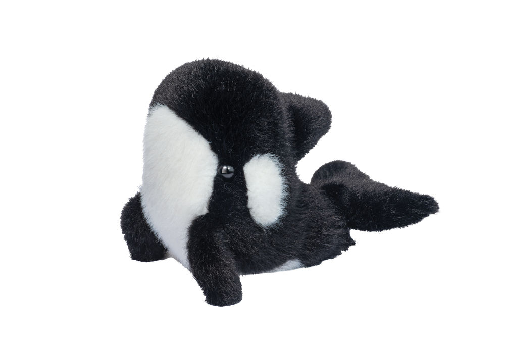 Front view of black & white stuffed toy baby orca whale
