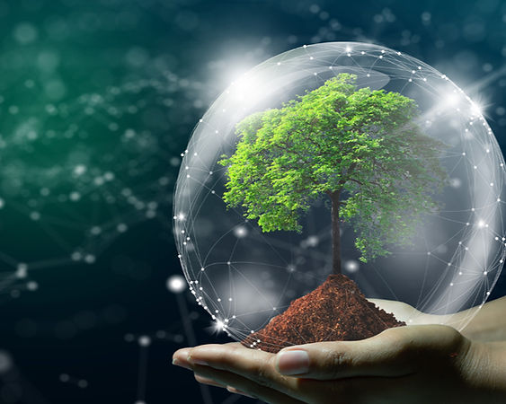 Systems to Tree for Growth