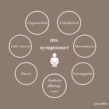Hvad er IBS?