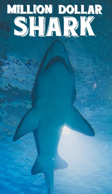 Shark Poster.jpg