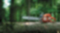 tree chainsaw