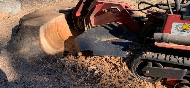 Stump Grinding